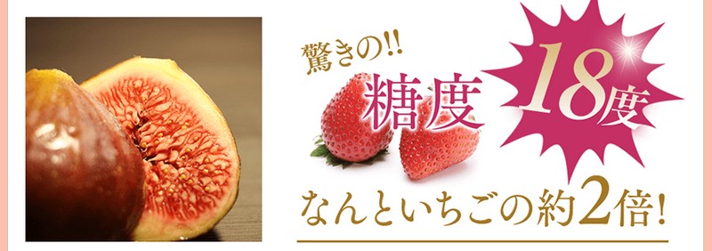 ���e�[���[�����������W�������T�C�g